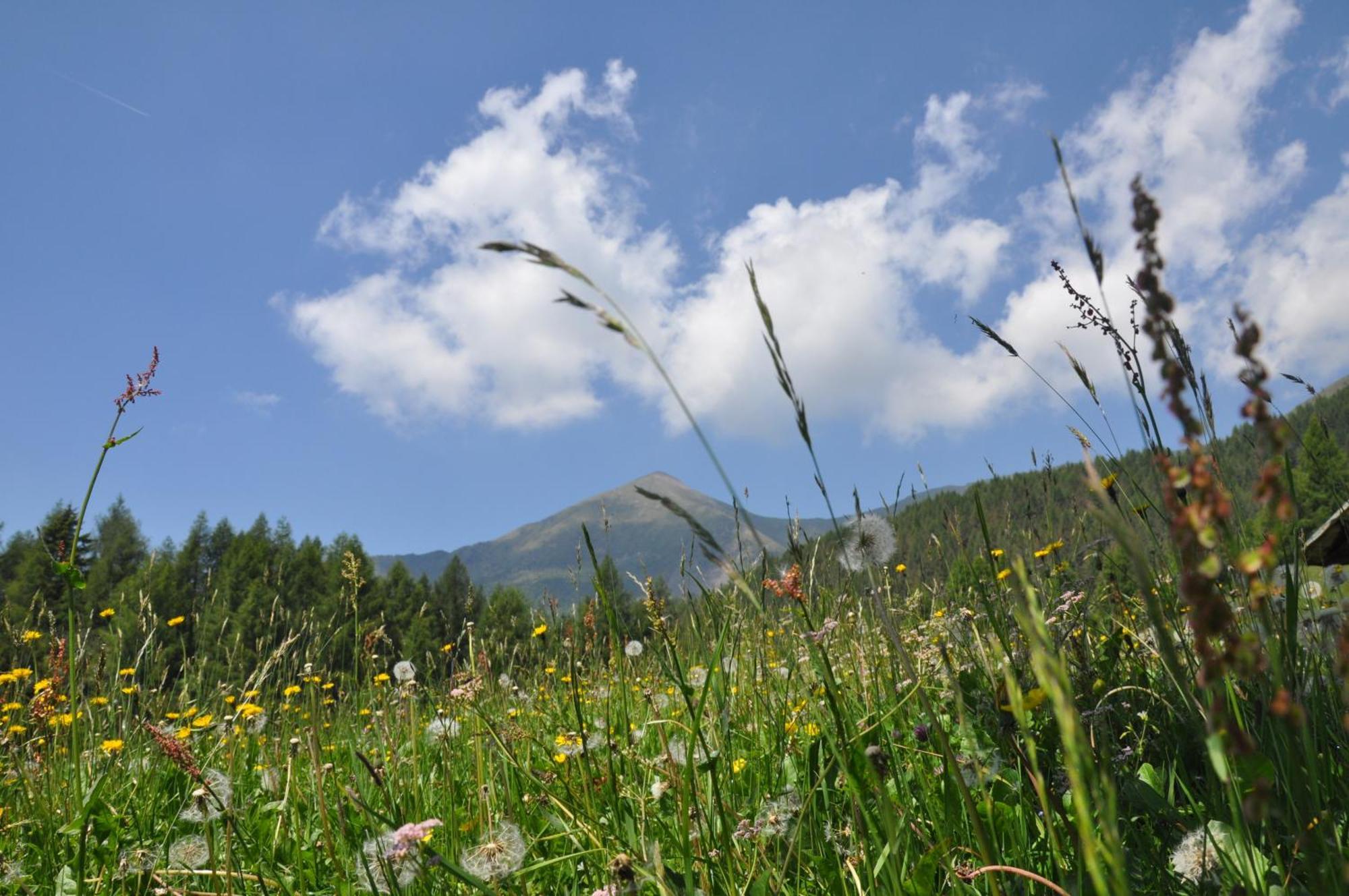 Rifugio Serot Roncegno Buitenkant foto